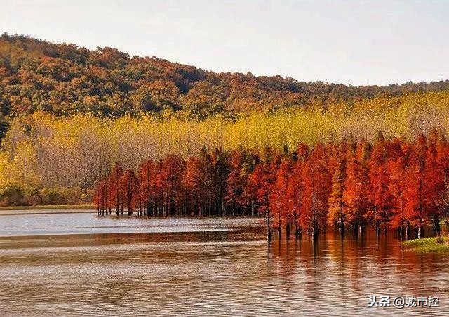 7个惊艳小众旅行地建议收藏哦,江苏省小众旅游地点