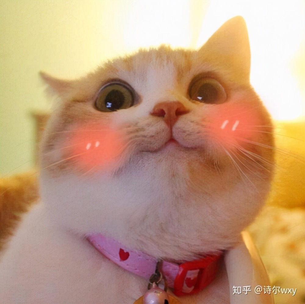 男子吃月饼吃出钻戒大概多少克拉,五仁月饼吃出钻戒