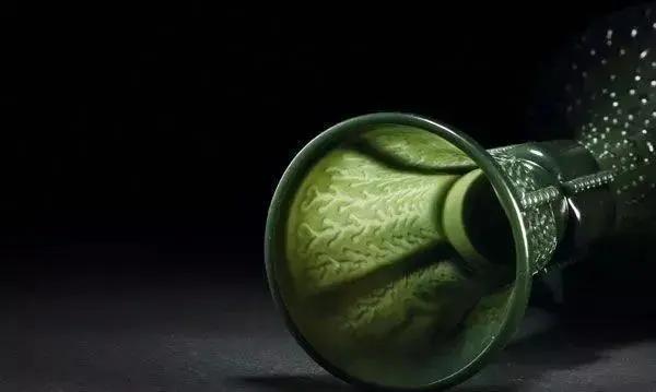 纯帝王玉,极品冰种帝王玉