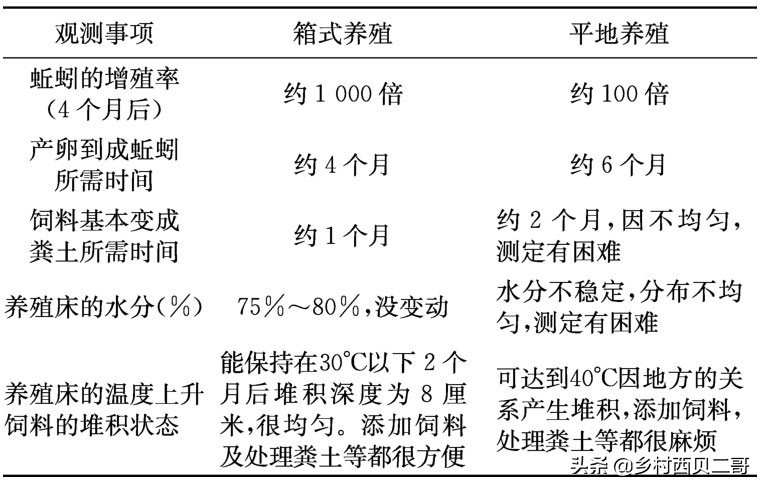 牛蛙的养殖技术及方法大全,牛蛙养殖技术和注意事项