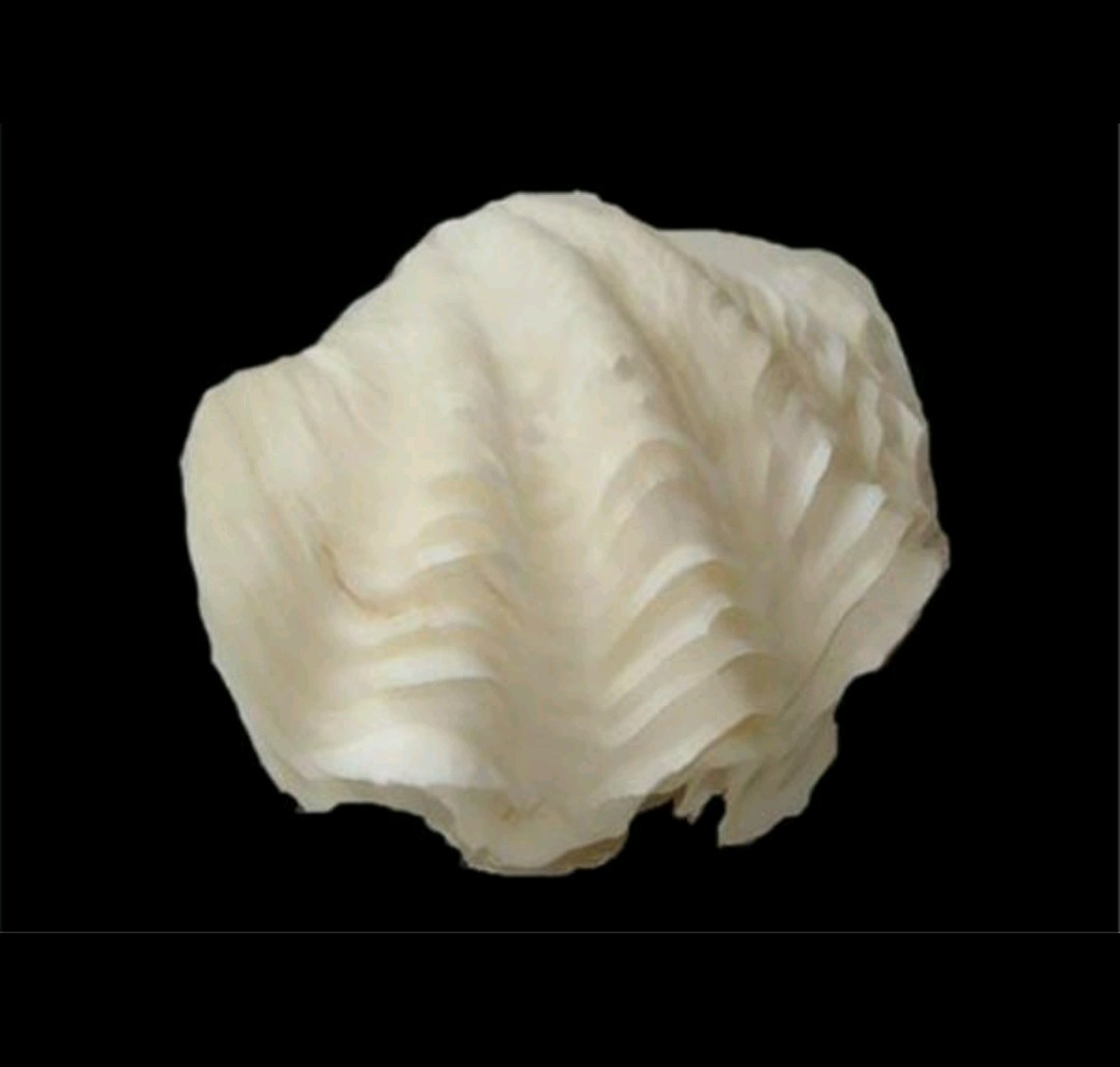 深海砗磲可以吃吗,极品深海砗磲佛珠