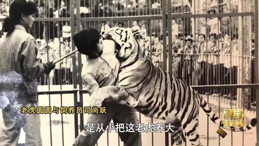 培根铸魂纪录片在线观看,面对面于漪培根铸魂