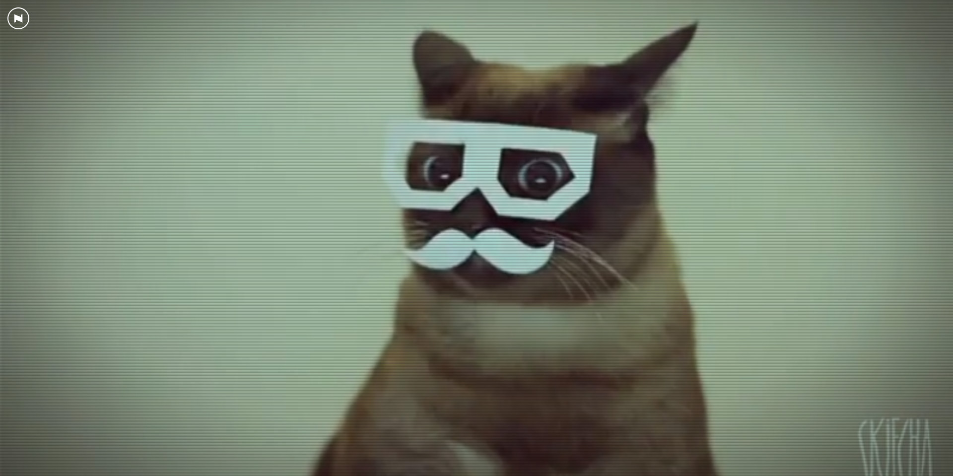 可以整蛊朋友的手机游戏,能整蛊朋友的软件