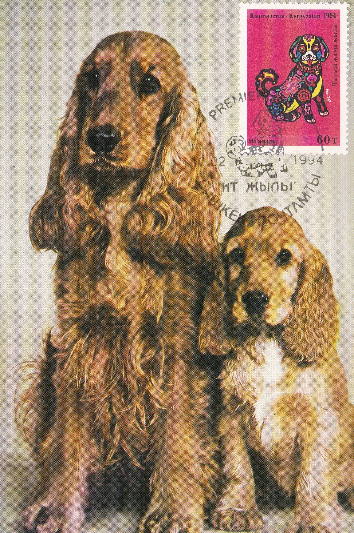 关于生肖狗的电影大全,12生肖狗的电影