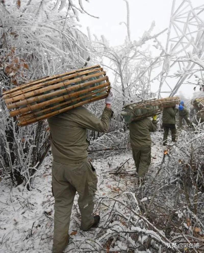 晚报记者去年拍了哪些好照片？今天晒最后一批金奖
