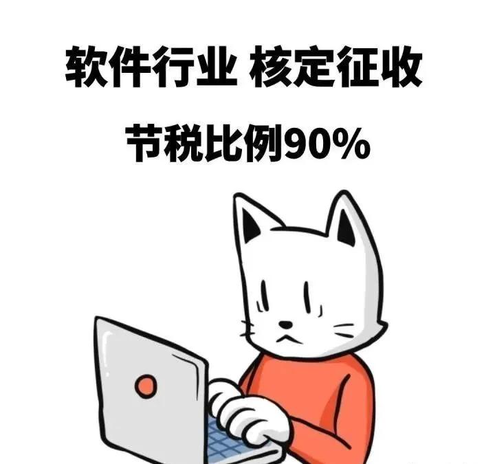 软件科技企业税收优惠政策,软件开发公司怎么规避法律风险