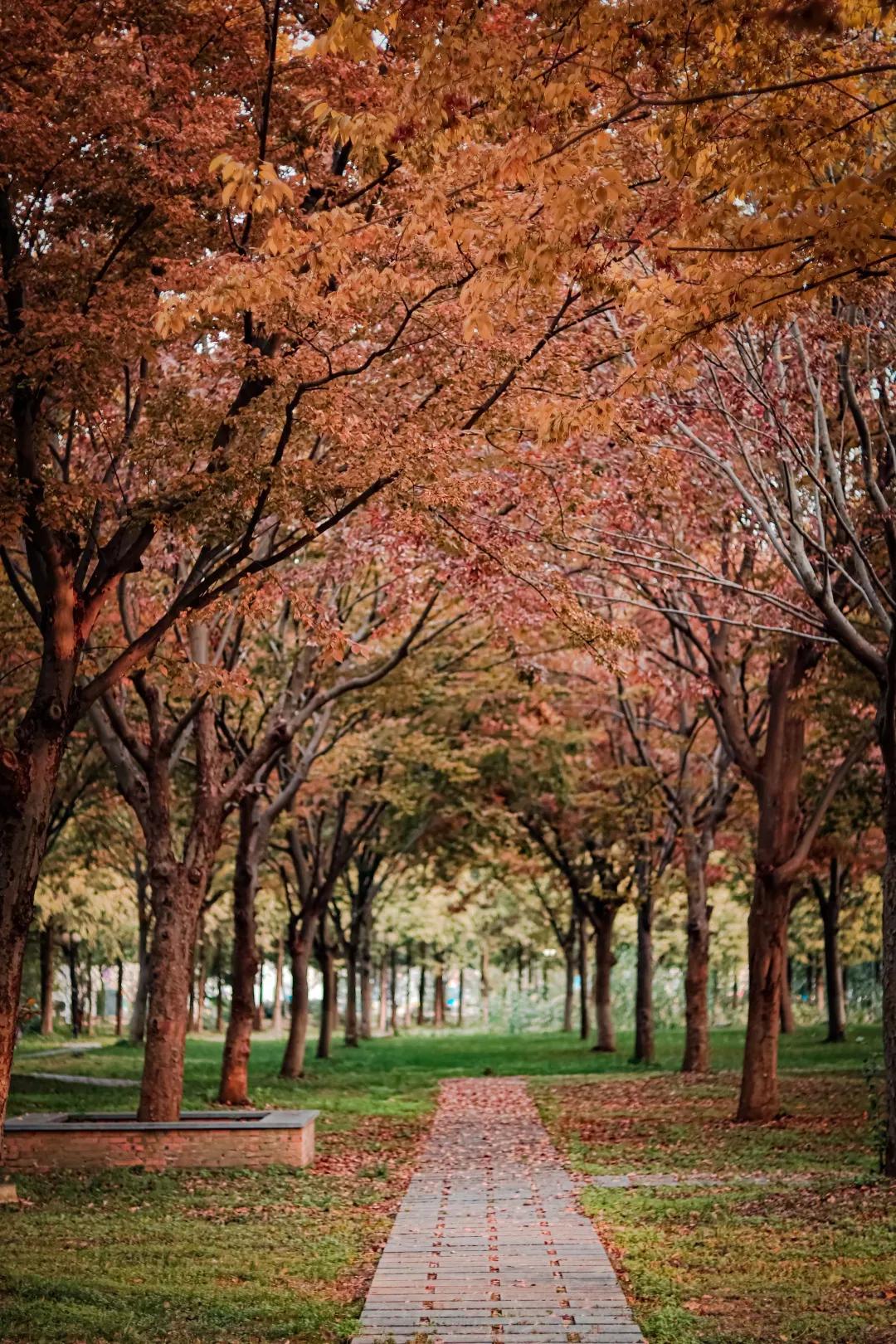 江苏省高校(六十六)苏州大学应用技术学院