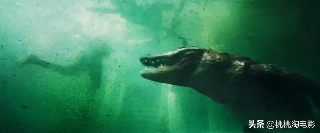 《诛仙》《小小的愿望》《名侦探柯南》，最强中秋档来了