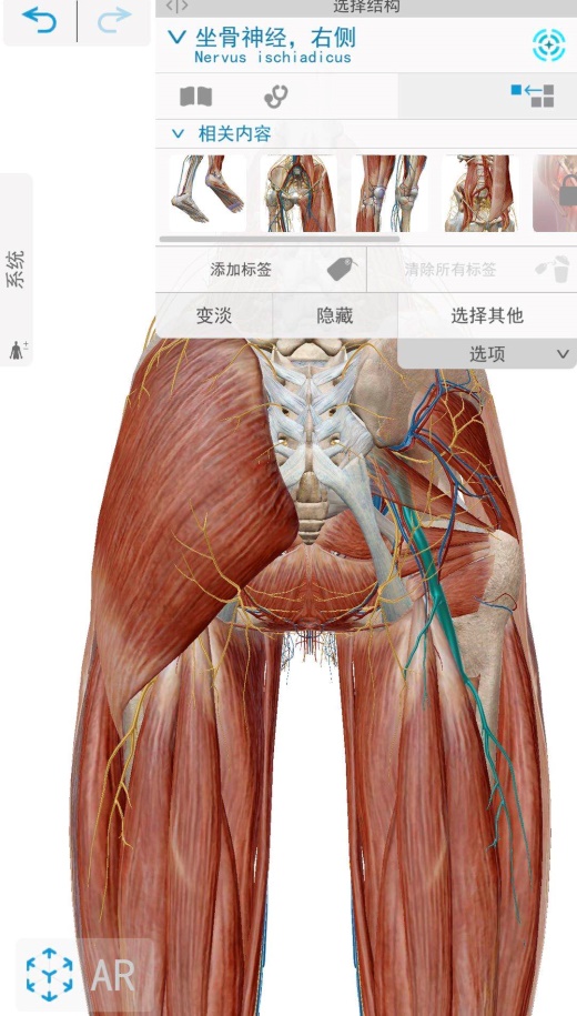 久坐整个臀部不舒服,夏天久坐者屁股又痛又破皮怎么办