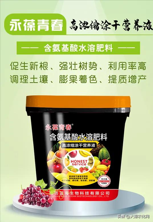 果树纹褐病防治方法,果树流胶病最新防治方法