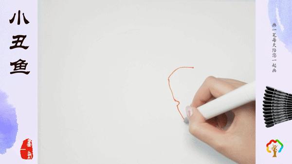 小丑鱼和海葵共生的小练笔,海葵和小丑鱼的共生简笔画