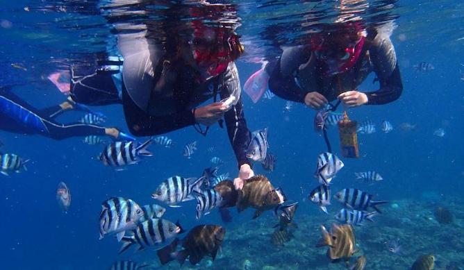 去泰国自由行攻略详细,泰国五日自由行攻略最详细