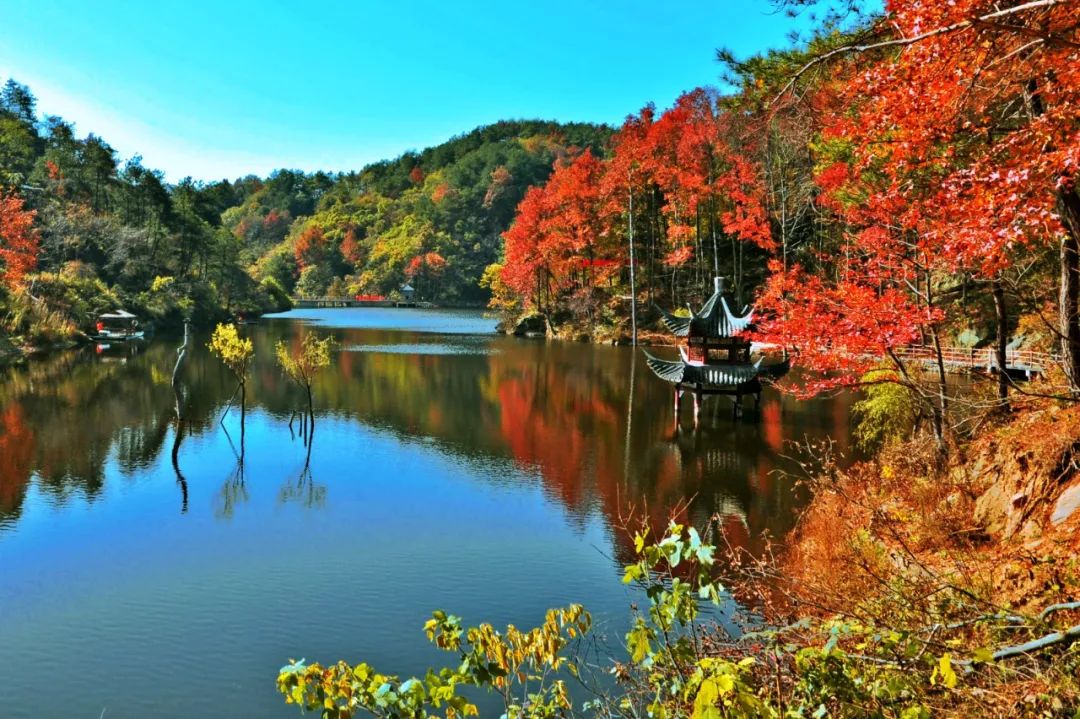 秋天赏枫叶好去处,赏红叶正当时