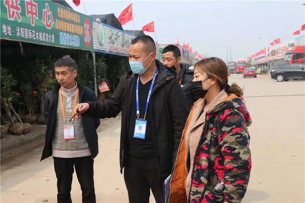 中国沭阳国际花木城在哪个城市,沭阳花木城的发展