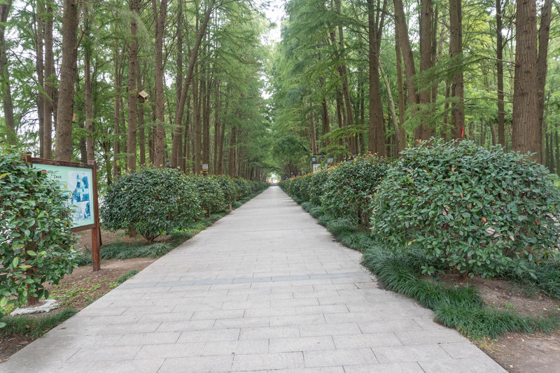 乘着动车去旅行,乘着高铁游扬州高邮北