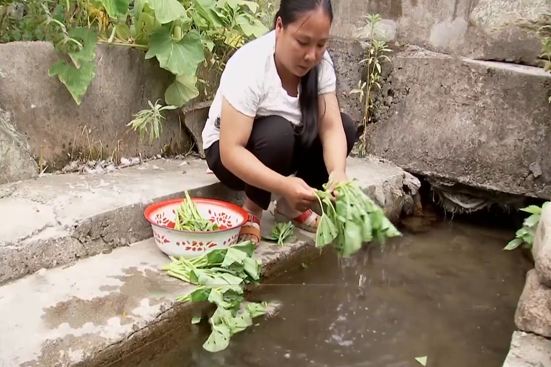 四川小伙被蛇咬在家休养赚3000万,男子被蛇咬后终身残疾