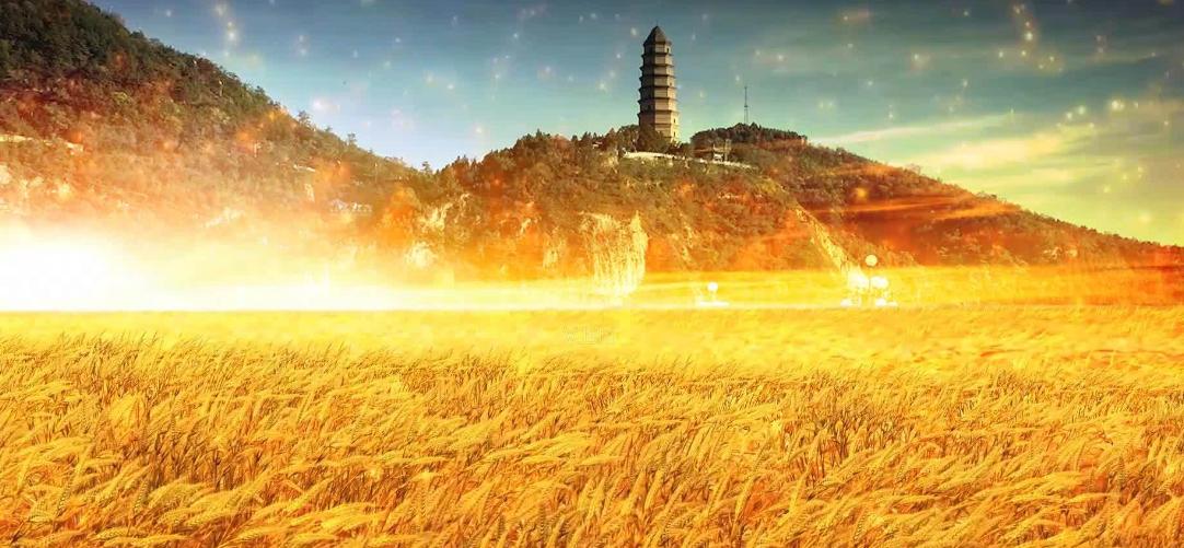 大生产运动主要内容,大生产运动实行军垦