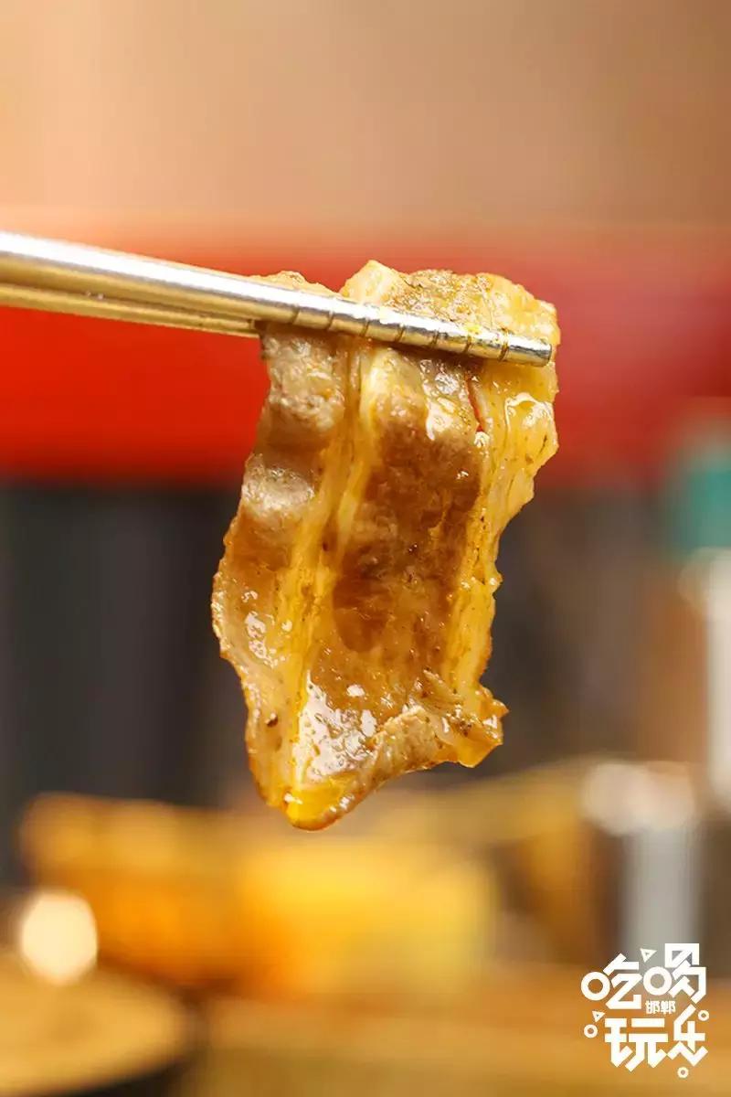 小猪小牛吃火锅,小猪小牛最新视频