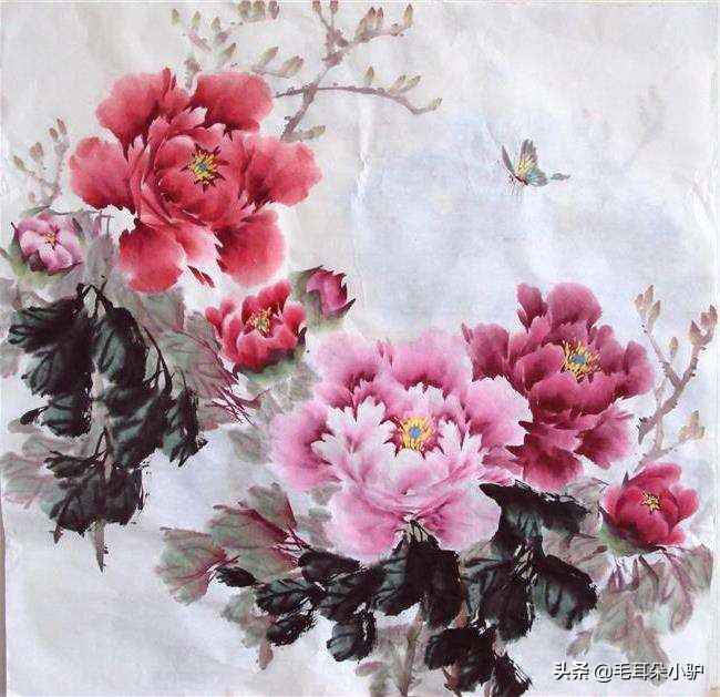 哪种花更适合成为中国的国花,如果提到国花你首先会想到什么花