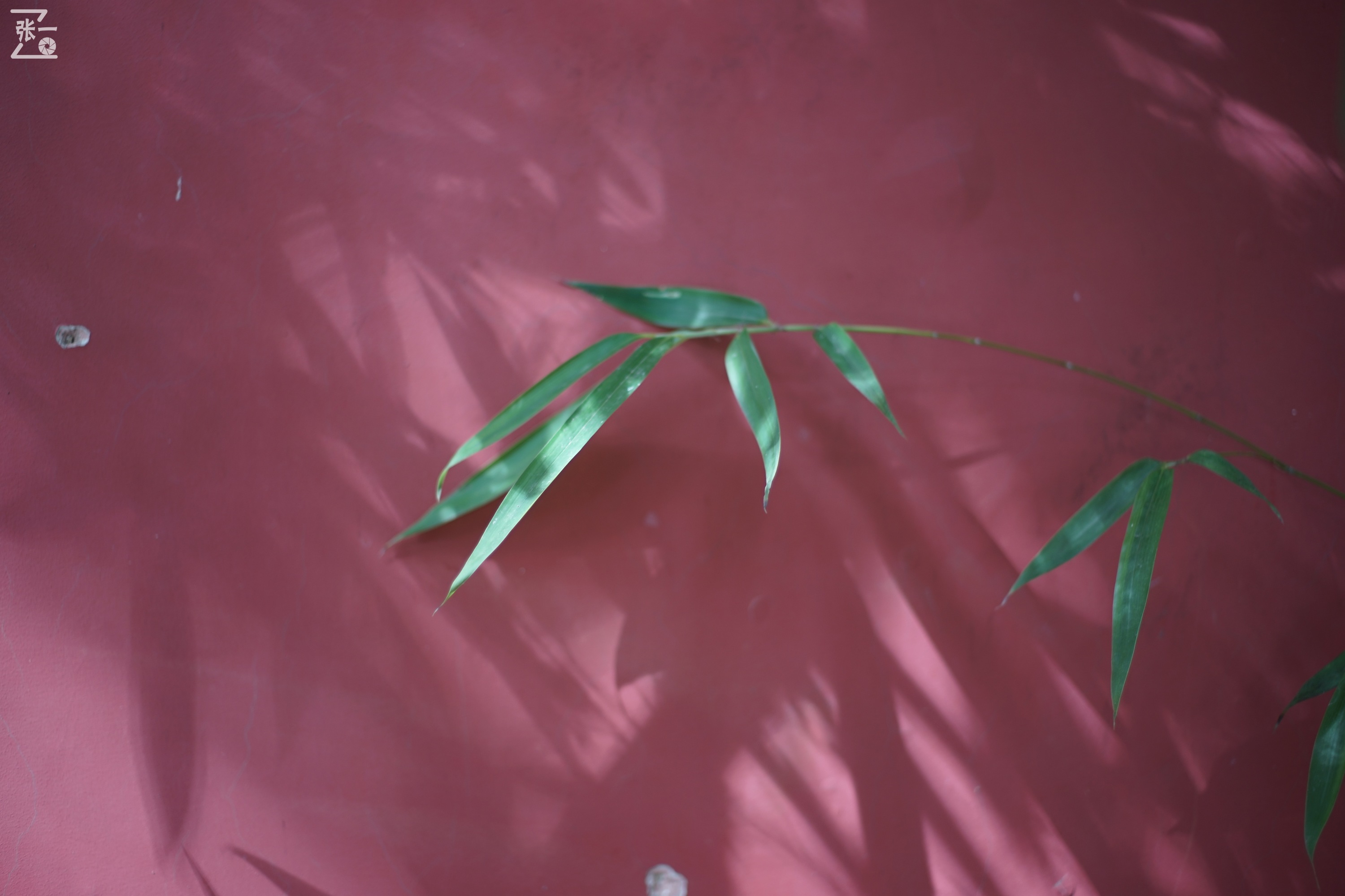 宾得老镜头k系列,老北京镜头