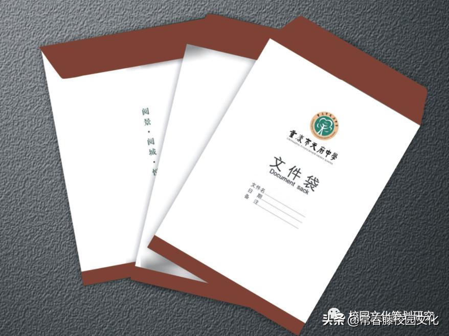 绿色校园文化整体设计方案,重庆学校文化建设设计创意