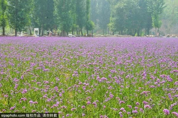 泡温泉玩水上滑梯,北京可以泡温泉又可以玩水上滑梯