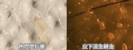 有的女生表面上光鲜亮丽,有的女生表面上白白净净的