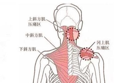 麻将为什么不能放太久,麻将不能天天耍