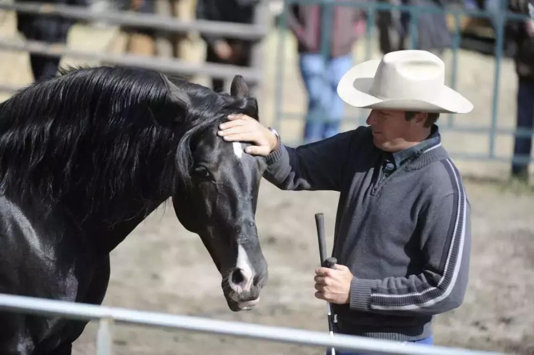 三分钟一字马教程,两小时驯马的全过程