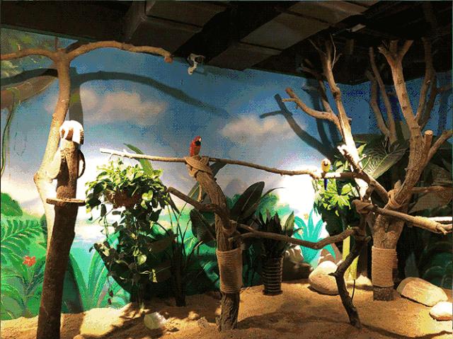 合肥动物园值得看的地方,合肥最好玩的动物园是哪