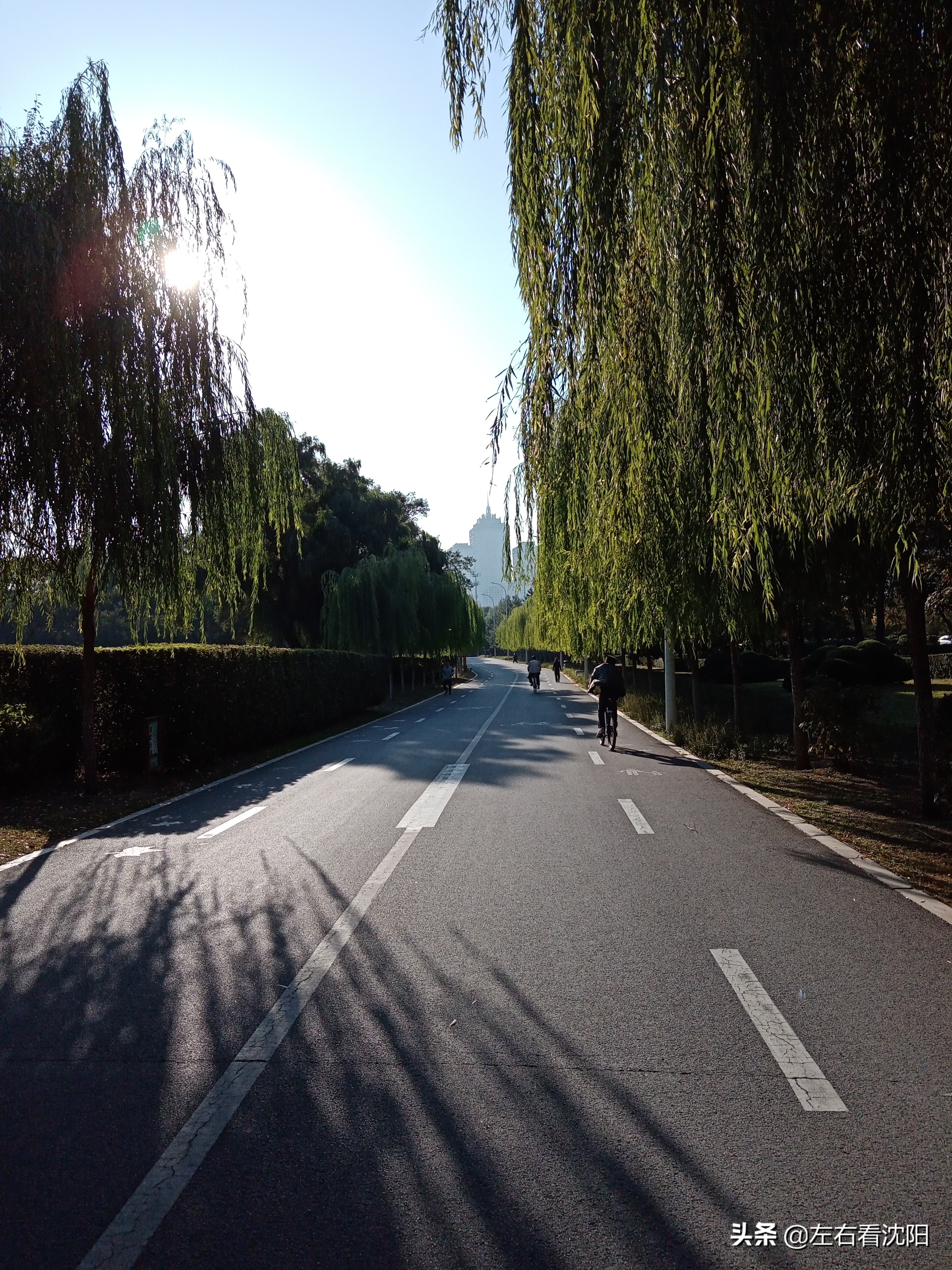 沈阳五里河公园攻略,沈阳五里河公园现在开吗