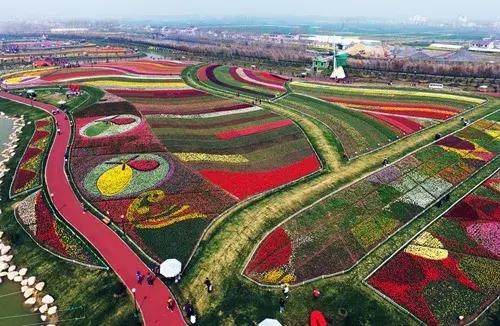 长三角一体化座谈会盐城,盐城加入长三角有什么好政策