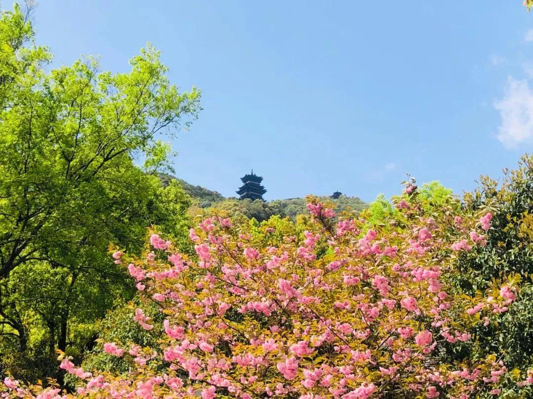 2019年杭州最美绿道,余杭街道苕溪北岸绿道