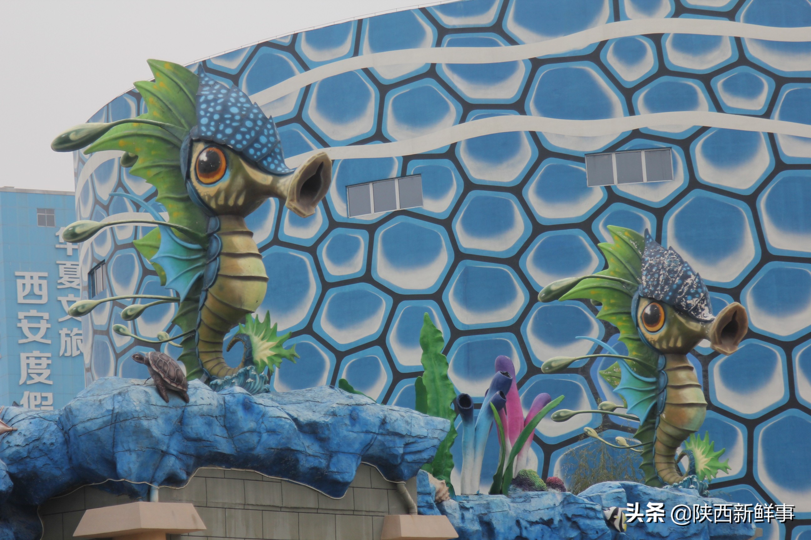 放飞海洋梦想感受丝绸传奇观后感,放飞海洋梦想感受丝路传奇研学题