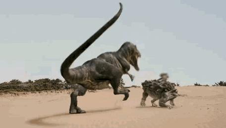 如果动物统治了地球人类会怎么样,人类消失什么动物会统治地球