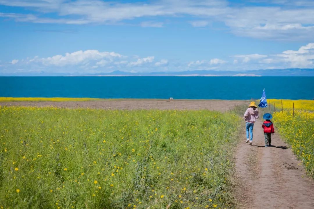 只要你面朝青海湖，八月依旧春暖花开