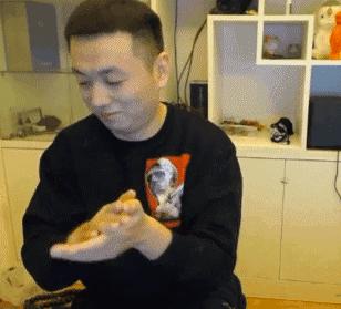 带冻干的猫粮好还是不带的好,冻干猫粮评测