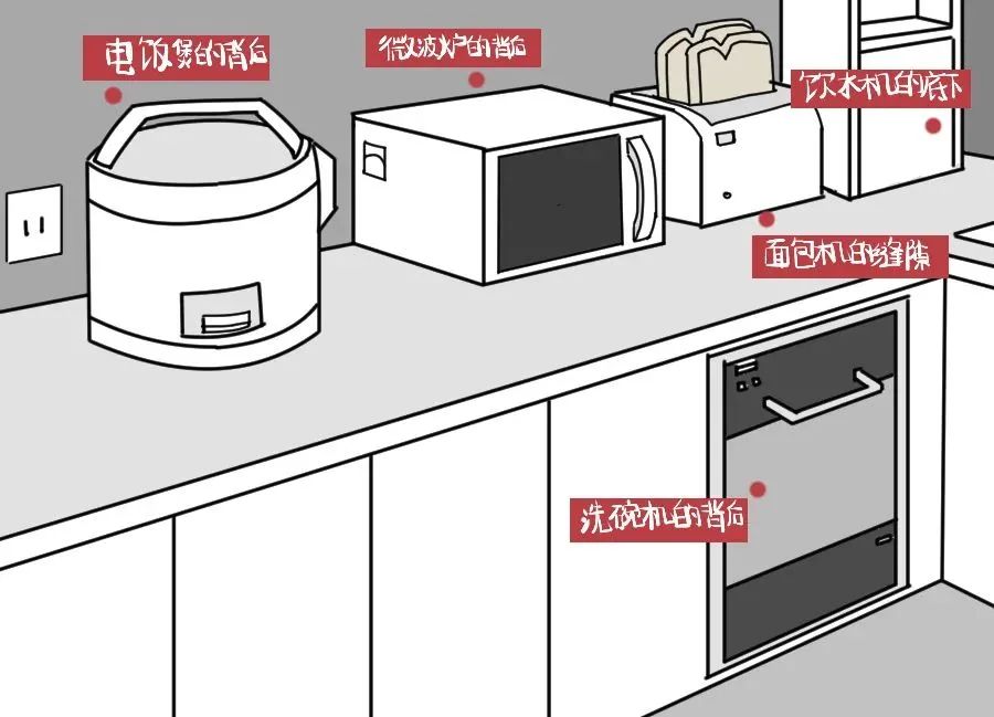 第一次看见会飞的蟑螂视频,孩子看到蟑螂