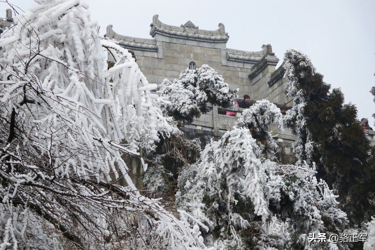 鍗楄僵灏忚鍏ㄩ泦鍏嶈垂闃呰,鍗楄僵浼犲鏁呬簨