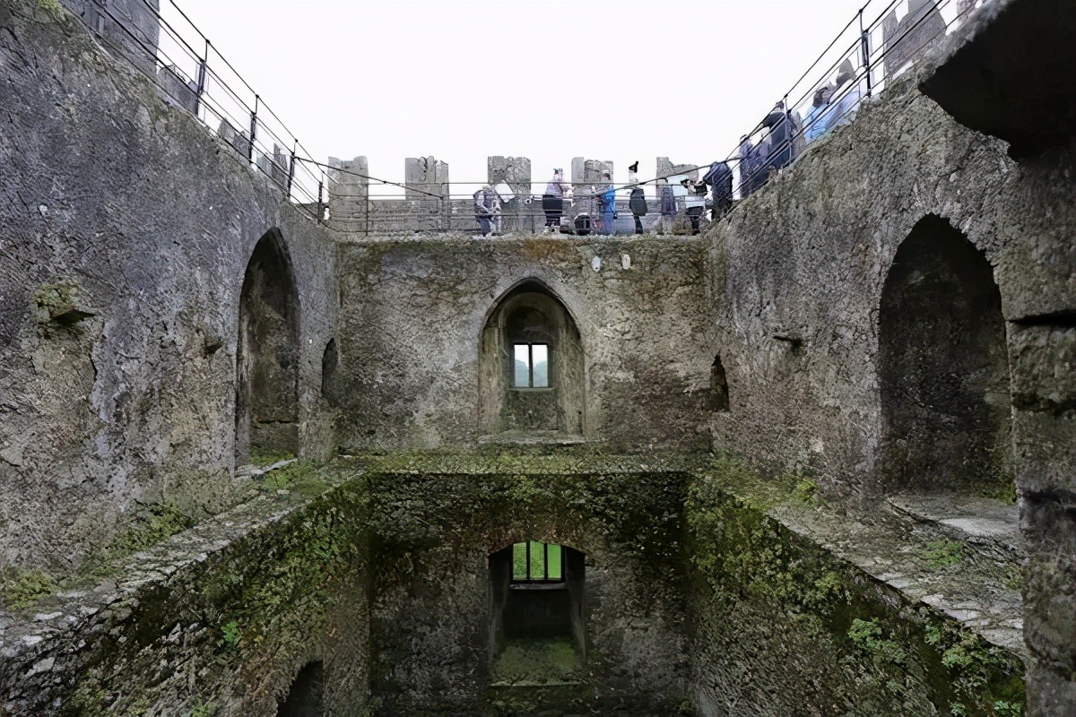 六年时间环游22个国家,却被多肉小萌物征服