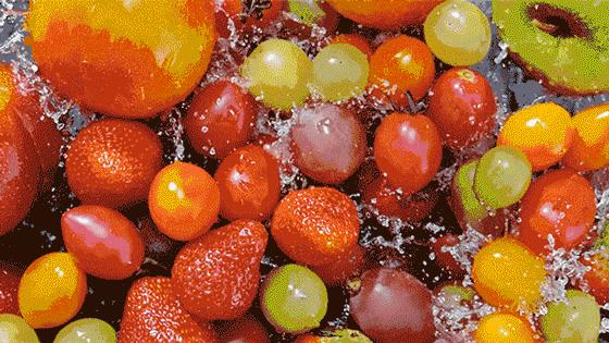 厉害了！武进竟隐藏着一位“大神”，练就了“瞎子”听鸟的本事~