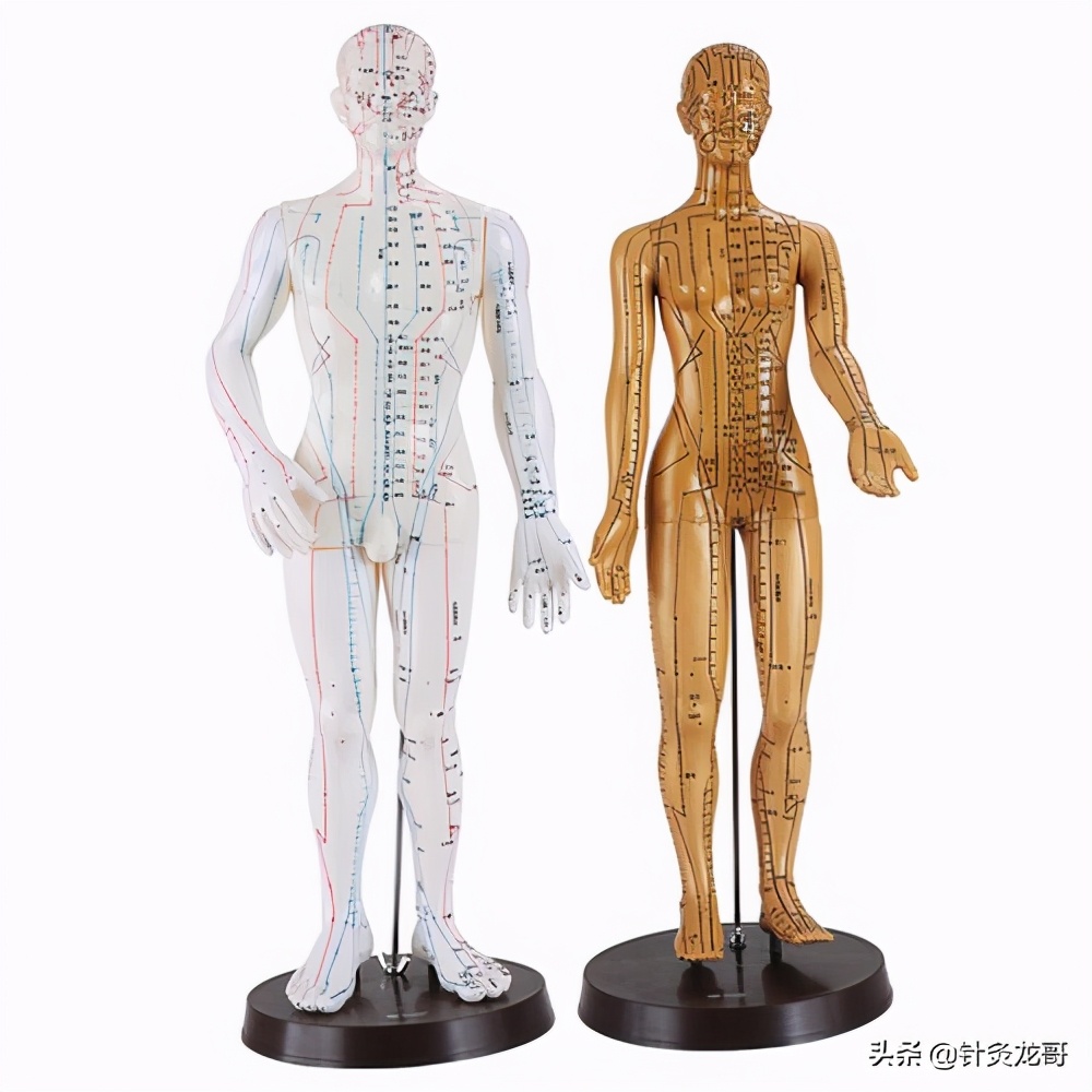 疼痛精准化治疗可具体到每一块肌肉，针灸可依据肌肉解剖精准打击