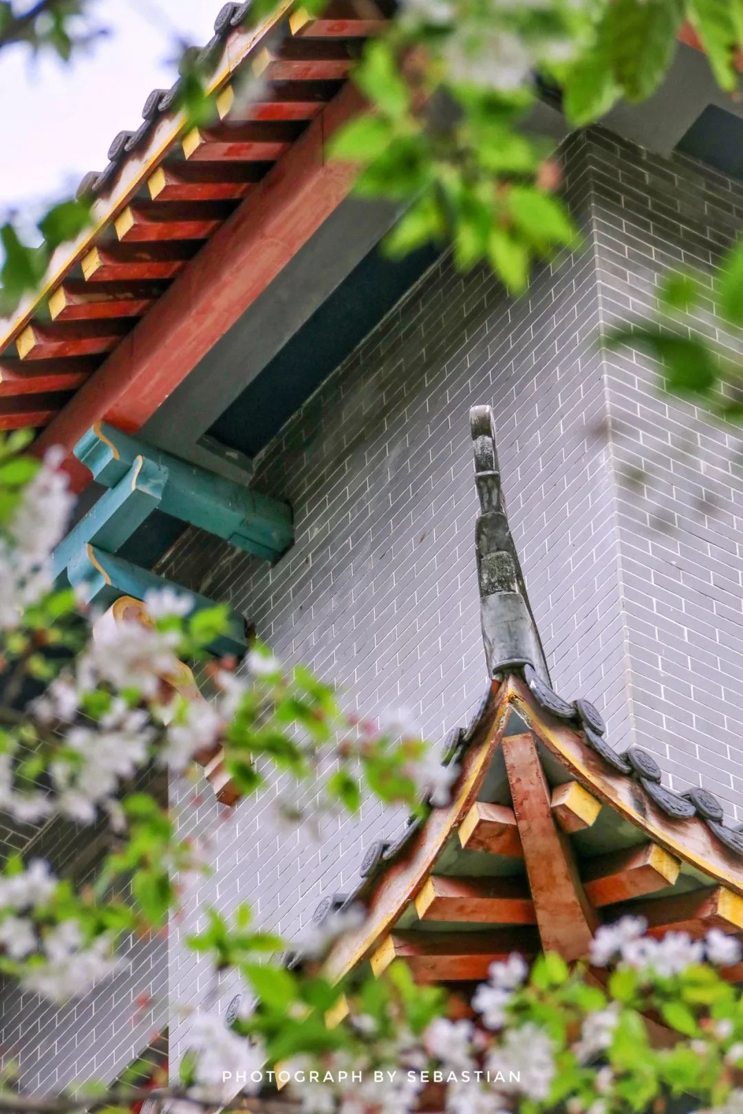 除了华西医院，你对华西坝一无所知！