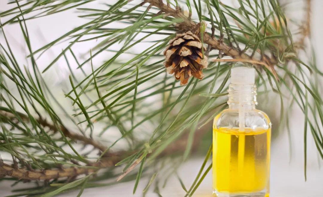 最新的生物农药,新型微生物农药有哪些