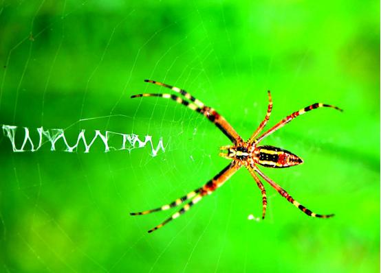 榫欒剨姊敯鏀荤暐鍙嶆淳,榫欒剨姊敯鎬紓