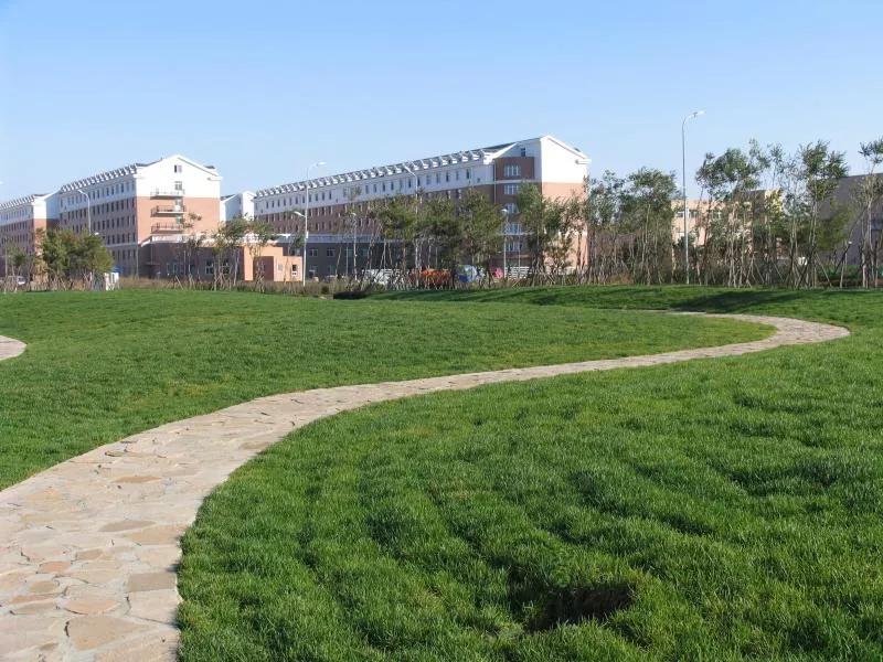 辽宁航空航天大学是211吗,院校介绍辽宁篇沈阳航空航天大学