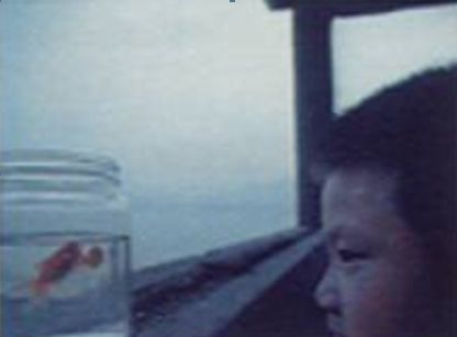 电视广告营销策略有哪些,4a广告公司营销流程