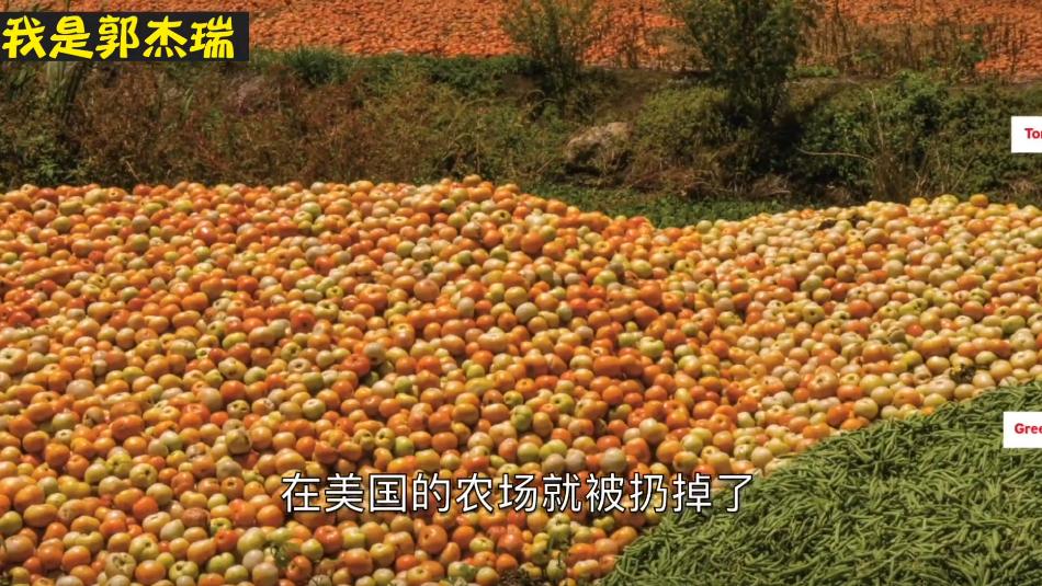 美国监狱伙食真实情况,美国监狱伙食有多好