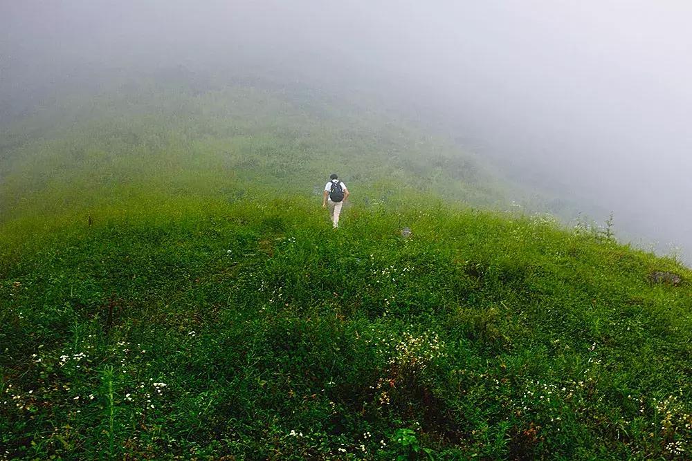 金佛山马嘴二日游攻略,金佛山西门一日游攻略和费用