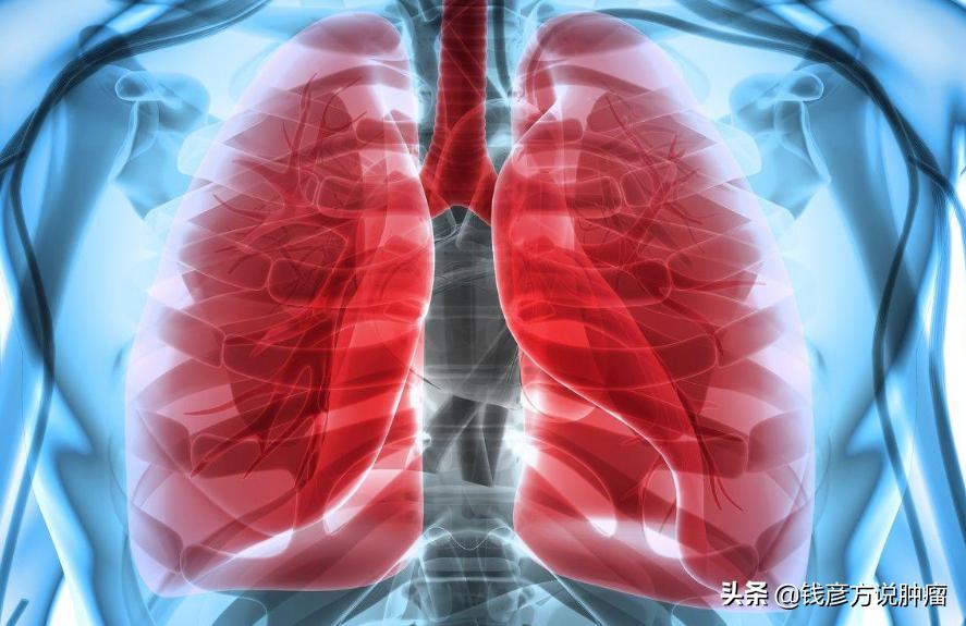 用虫药治疗肺癌有效吗,擅长用虫类药的名老中医